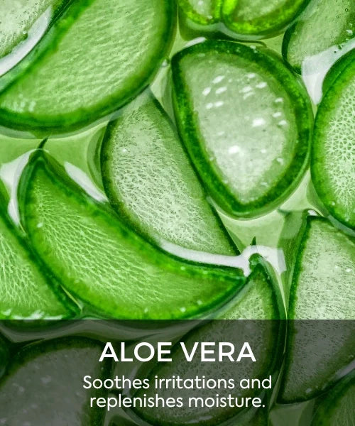 Aloe Vera