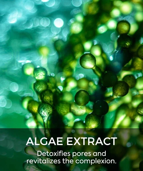 Algae Extract